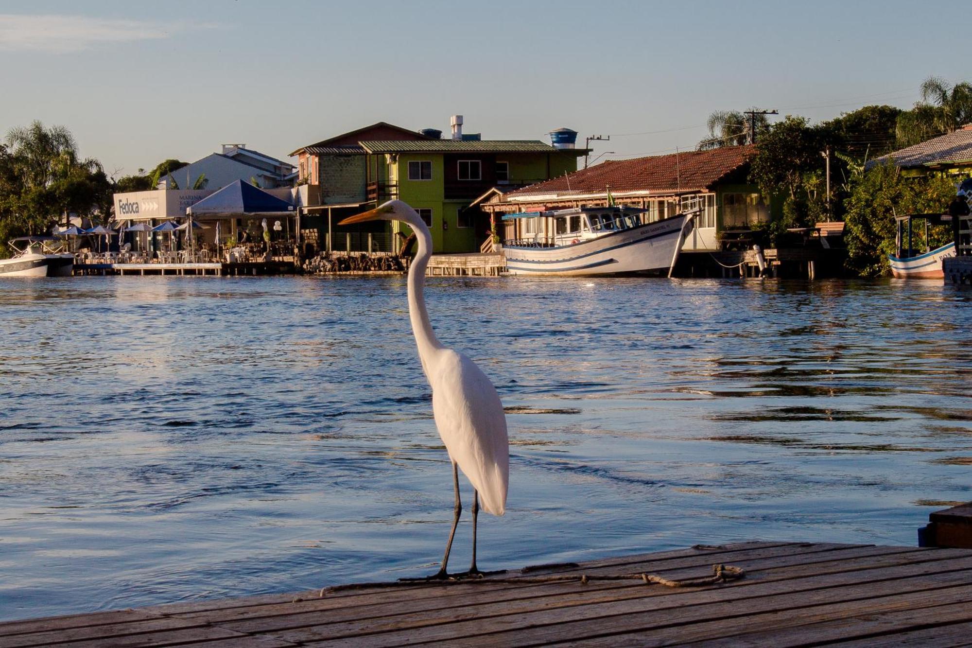 Pousada Quinta Da Margem Florianópolis Exteriör bild